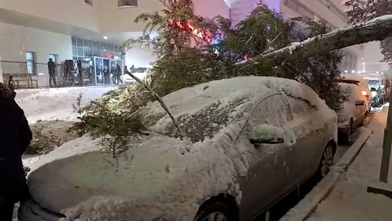 Bolu'da Yoğun Kar Yağışı Sonrası Ağaç Devrildi