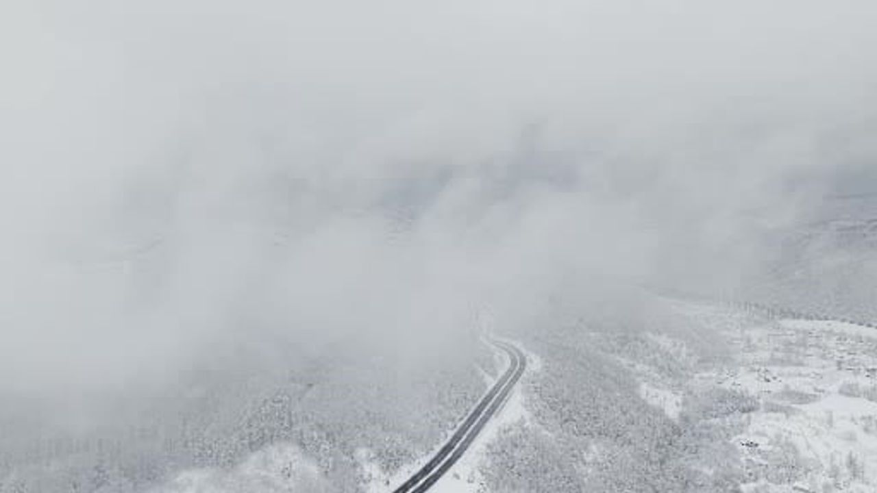 Bolu Dağı'nda Kış Manzarası