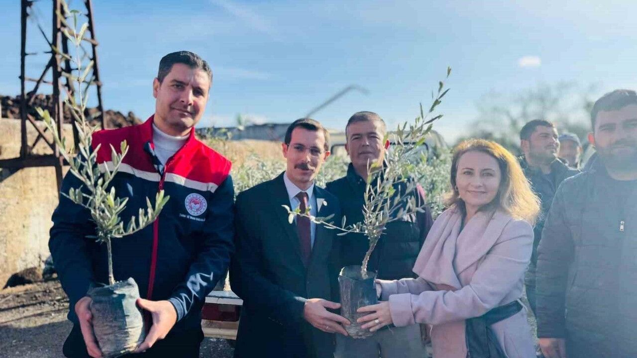 Bozdoğan’da 8 Bin 700 Fidan Dağıtıldı