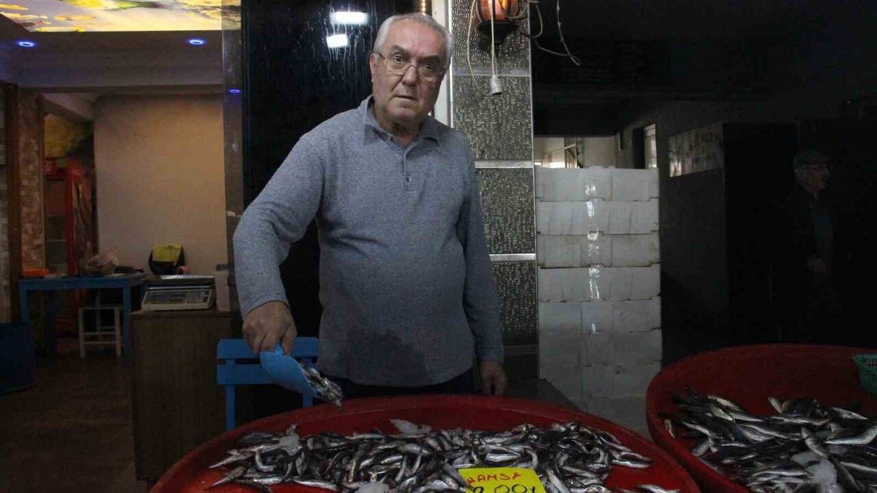 Bozdoğan'da Hamsi Balık Tezgahlarının Yıldızı