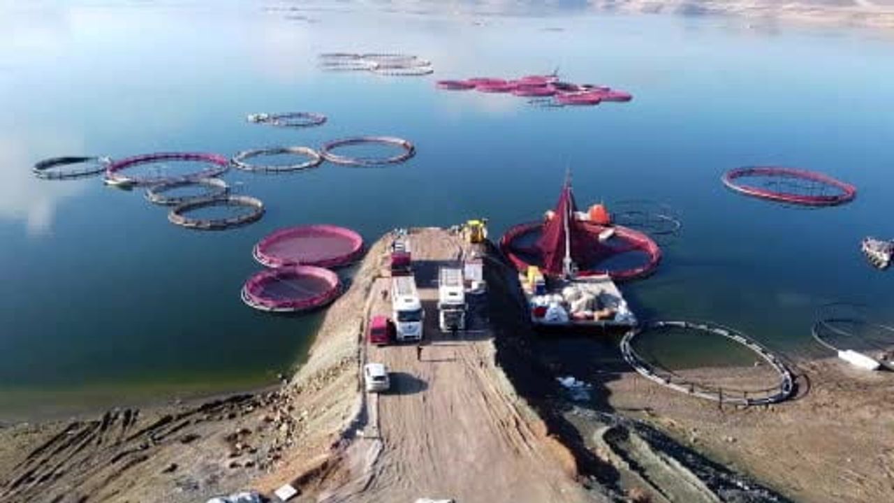 Bozkırda Alabalık Üretimi ve İhracatı