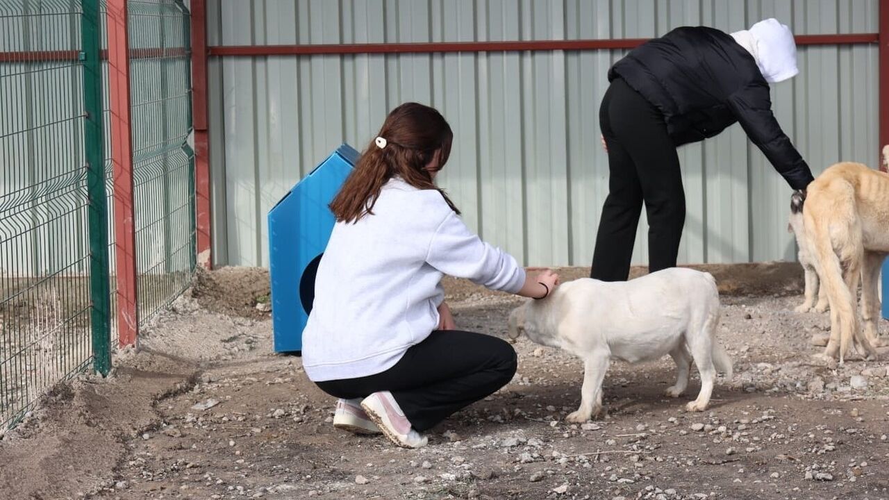 Bünyan Anadolu Lisesi'nden Sokak Hayvanları İçin Anlamlı Etkinlik