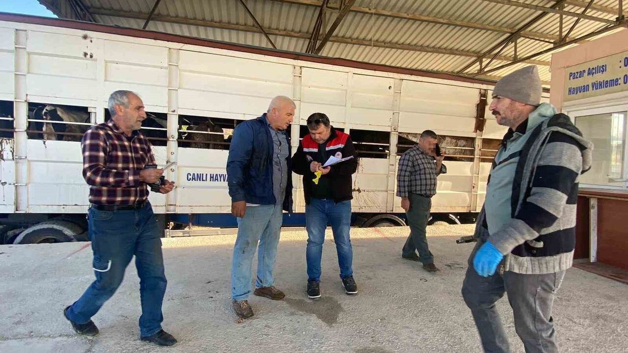 Burdur'da Şap Karantinasına Uymayan Besiciye 170 Bin Lira Ceza