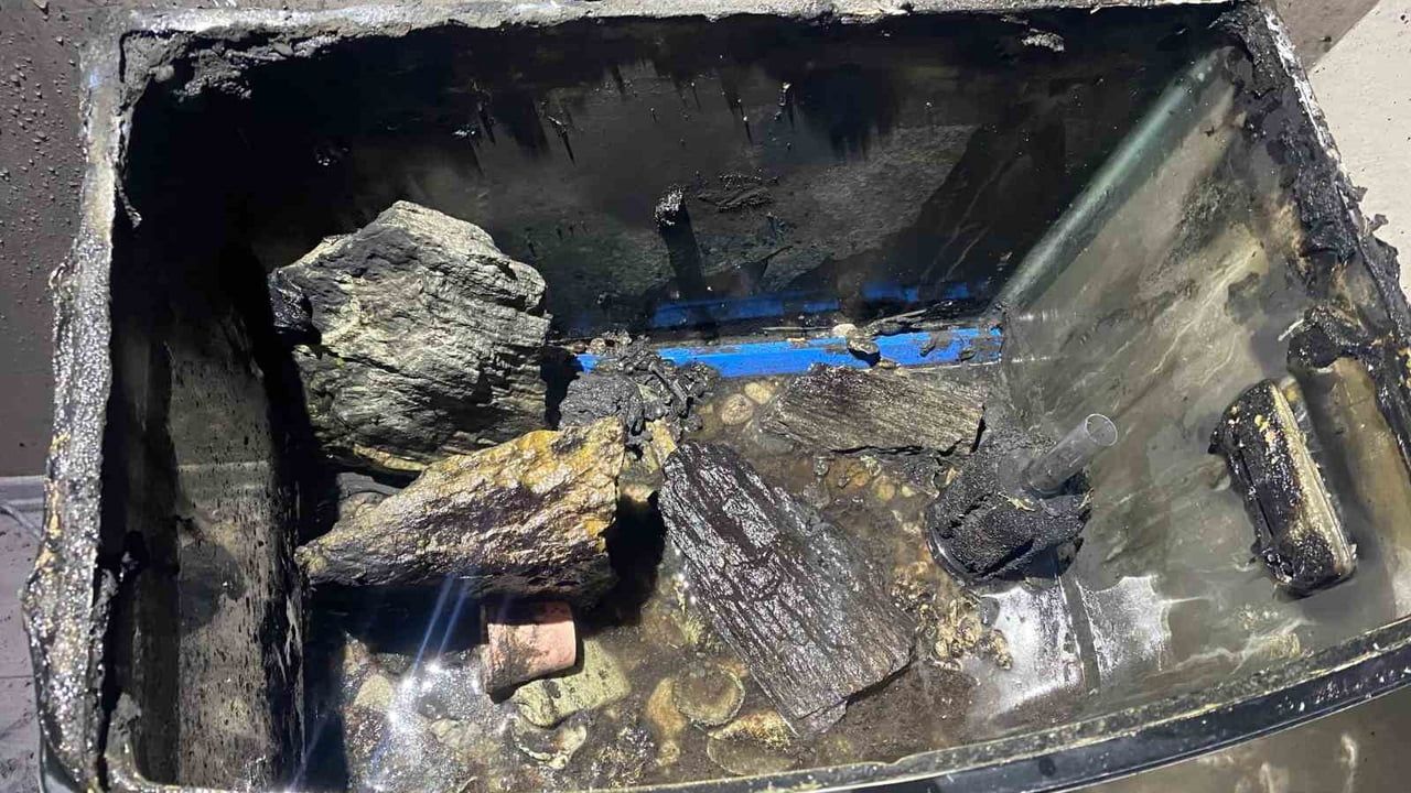 Bursa'da Akvaryum Yangını: Balıklar Kurtarıldı