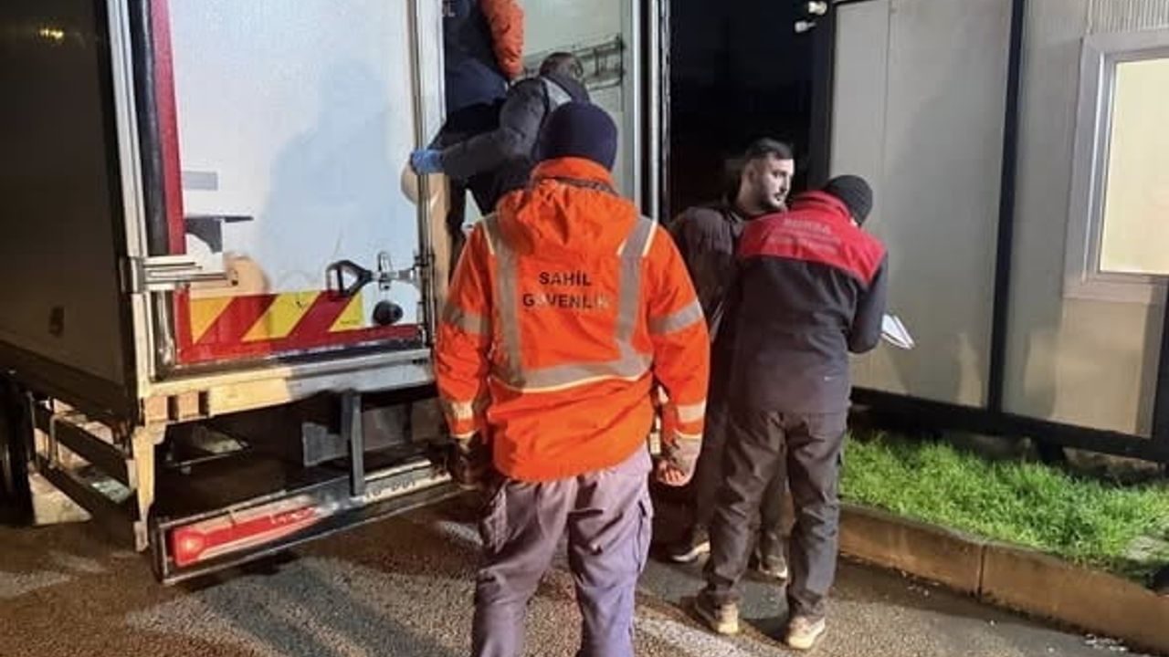 Bursa'da Gece Baskını: 615 Kilo İstavrit Ele Geçirildi