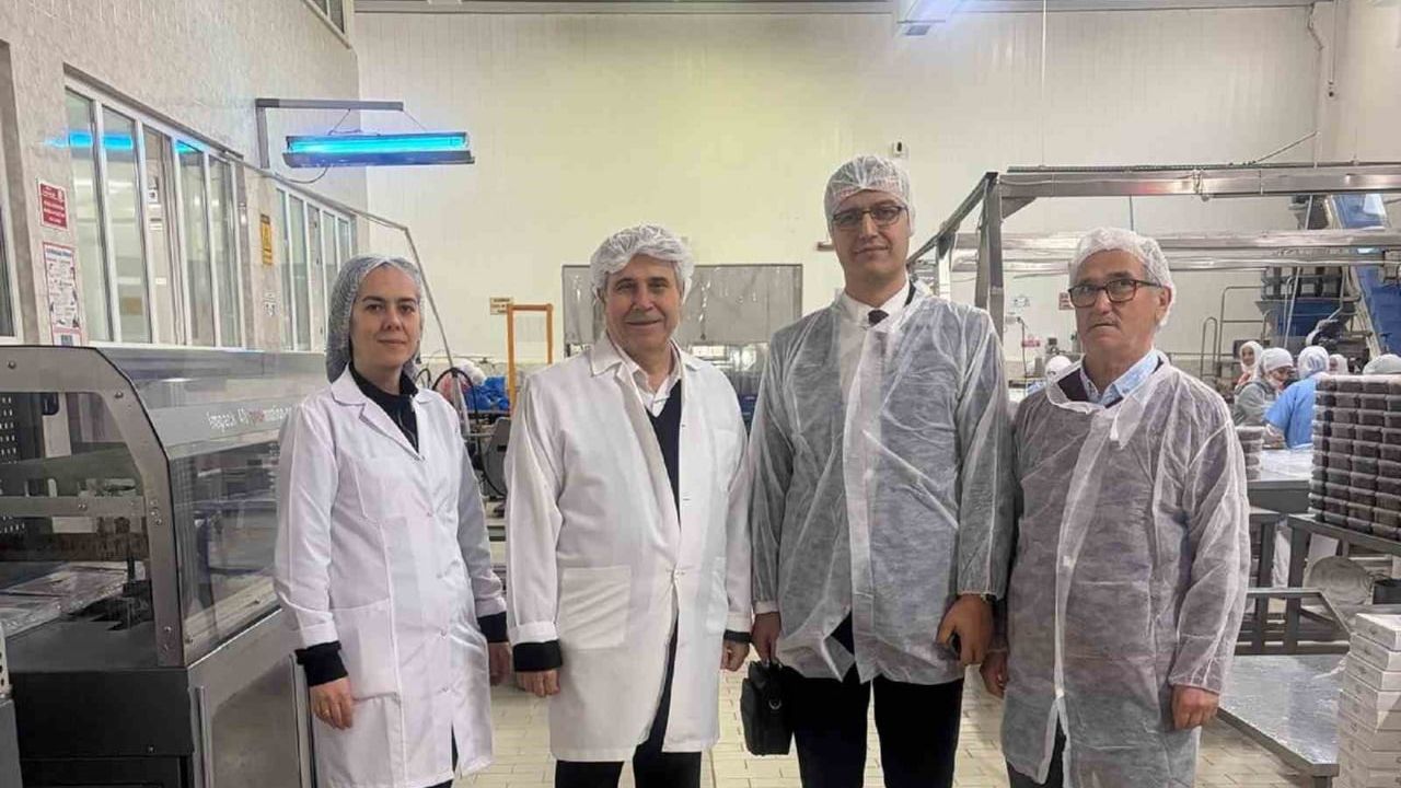 Bursa'da Kestanenin Geleceği İncelendi