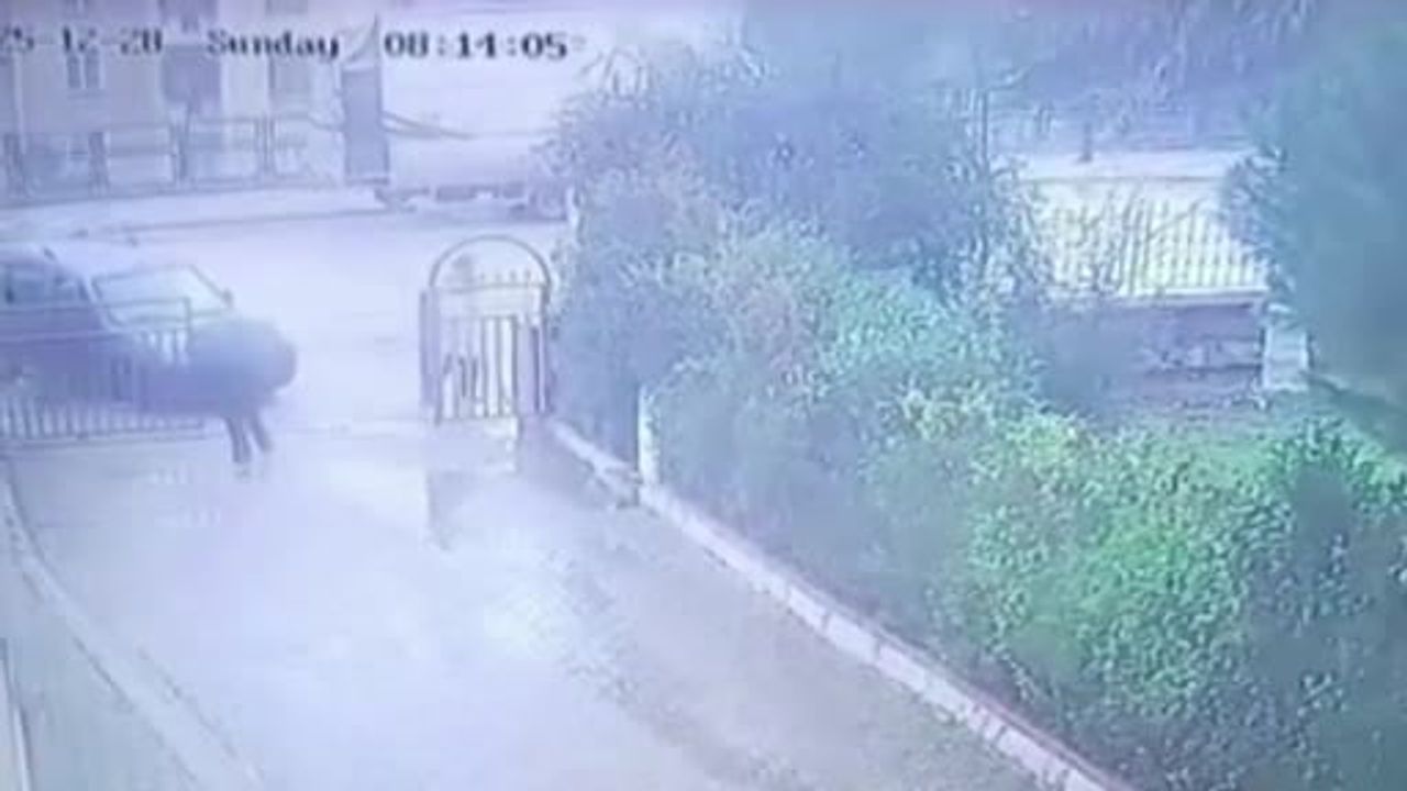 Bursa'da Otomobil-Hafif Ticari Araç Çarpıştı: 2 Yaralı