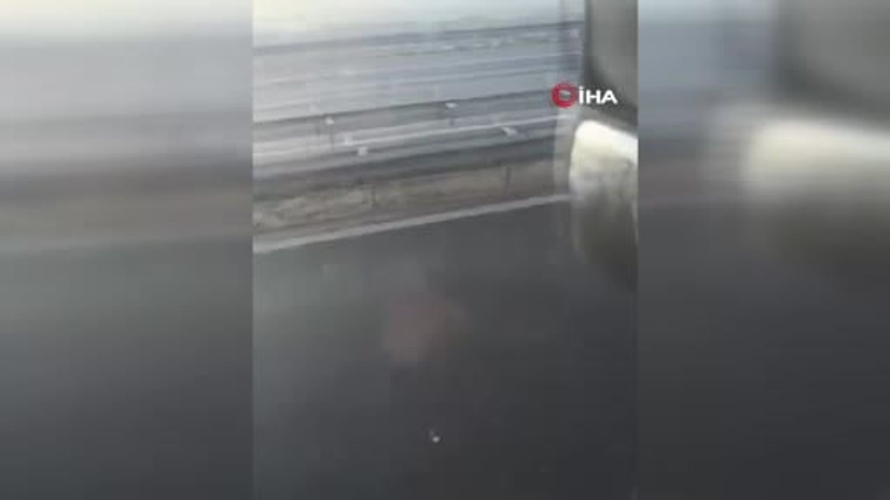 Büyükçekmece'de Emniyet Şeridi Krizi: Sürücü Aracını Yumrukladı