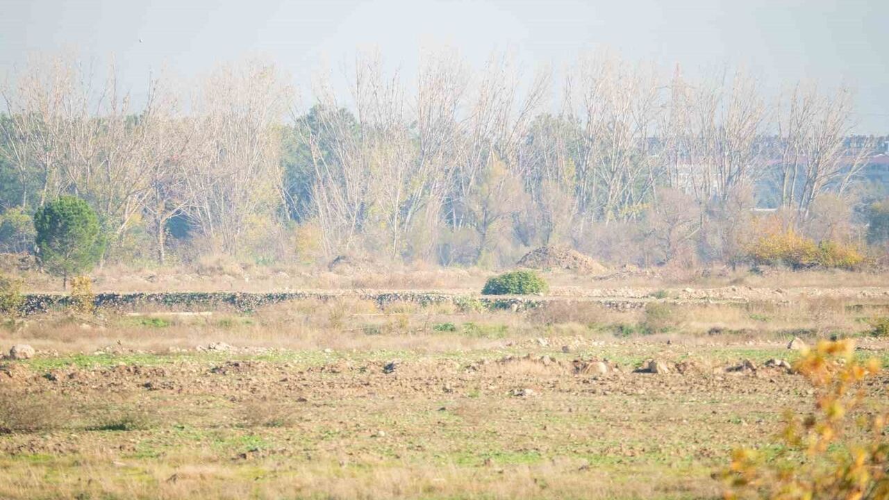 BYD'nin Manisa Yatırımı Hala Beklemede