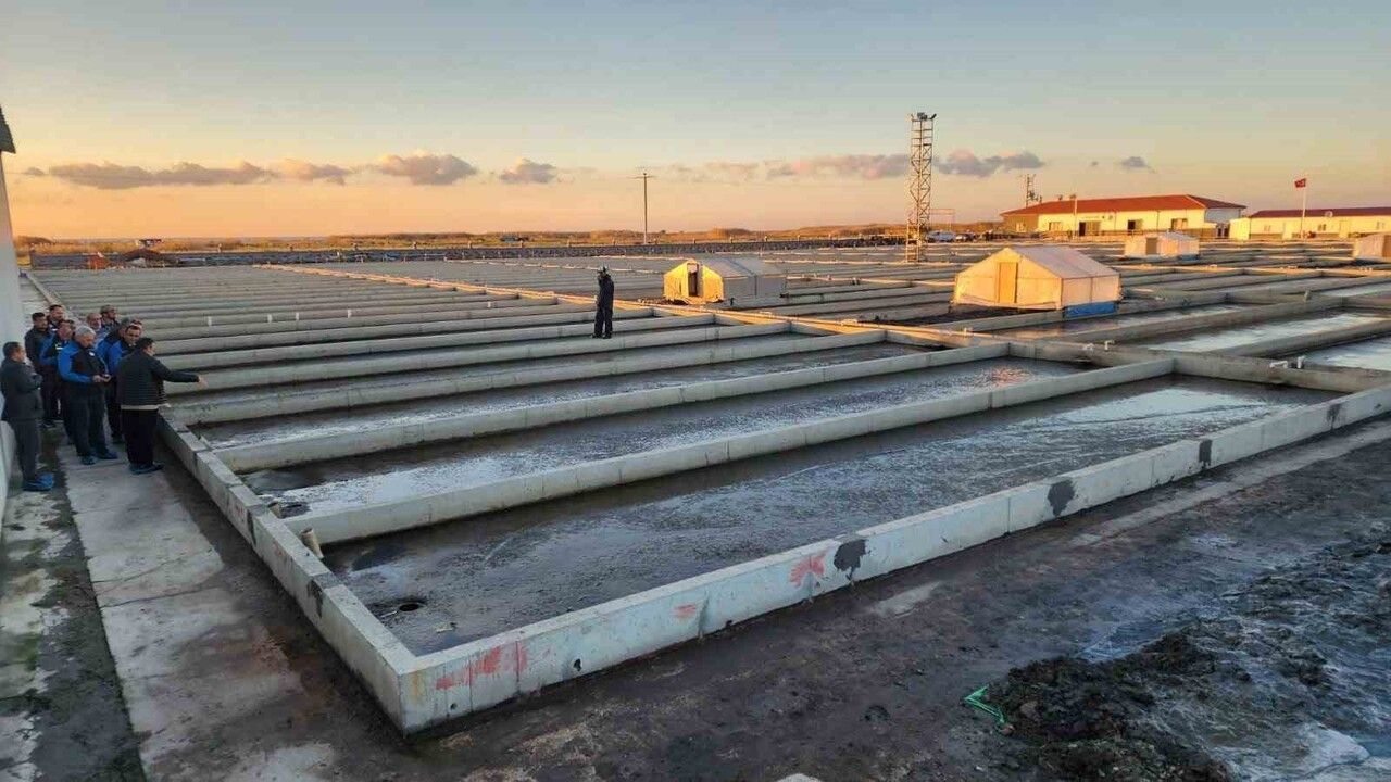 Çanakkale'de Deniz Solucanı Yetiştiriciliği: Sektörde Tek Tesis