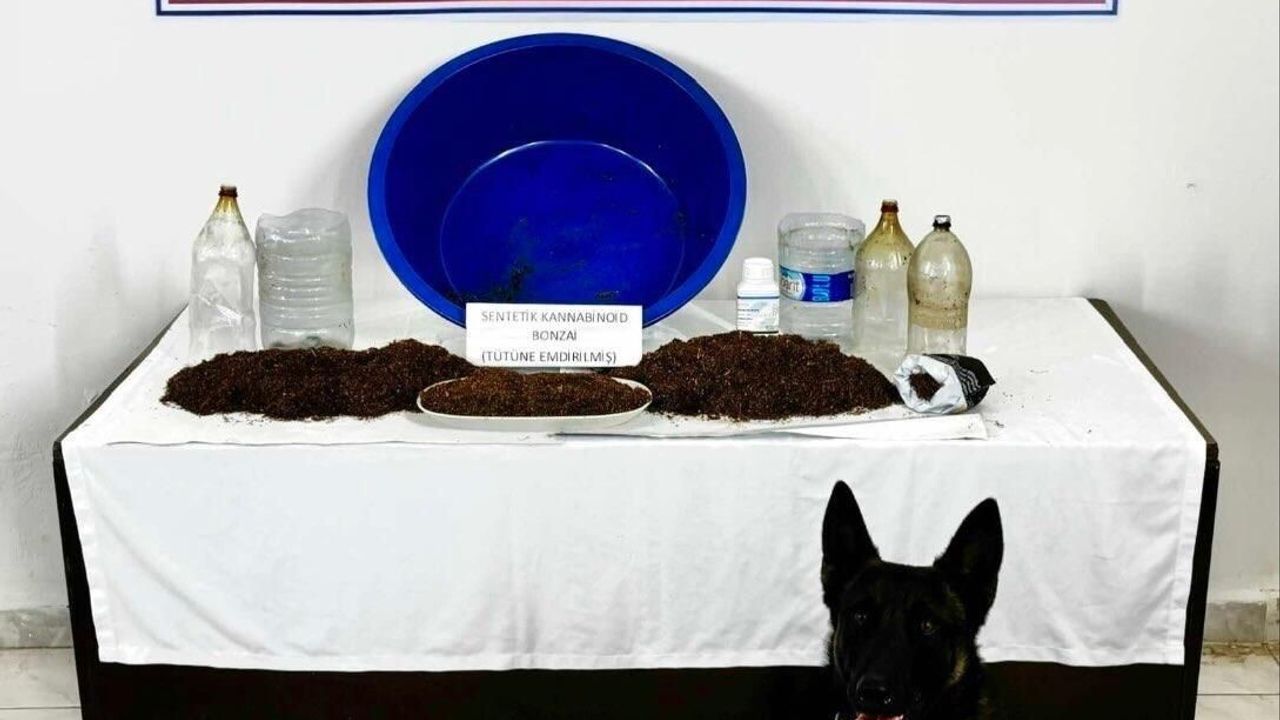 Çankırı'da Uyuşturucu Operasyonu: Yabancı Uyruklu Bir Kişi Gözaltında