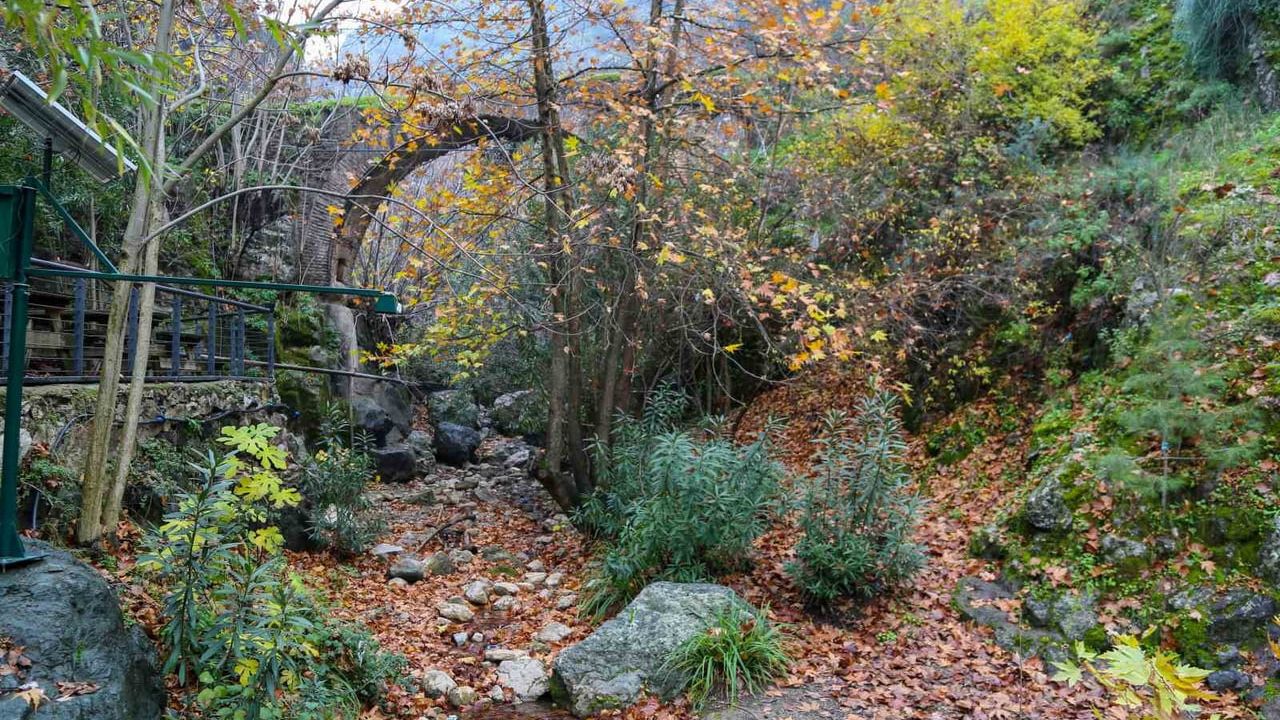 Çaybaşı Deresi: Manisa'nın Doğal Güzellikleri
