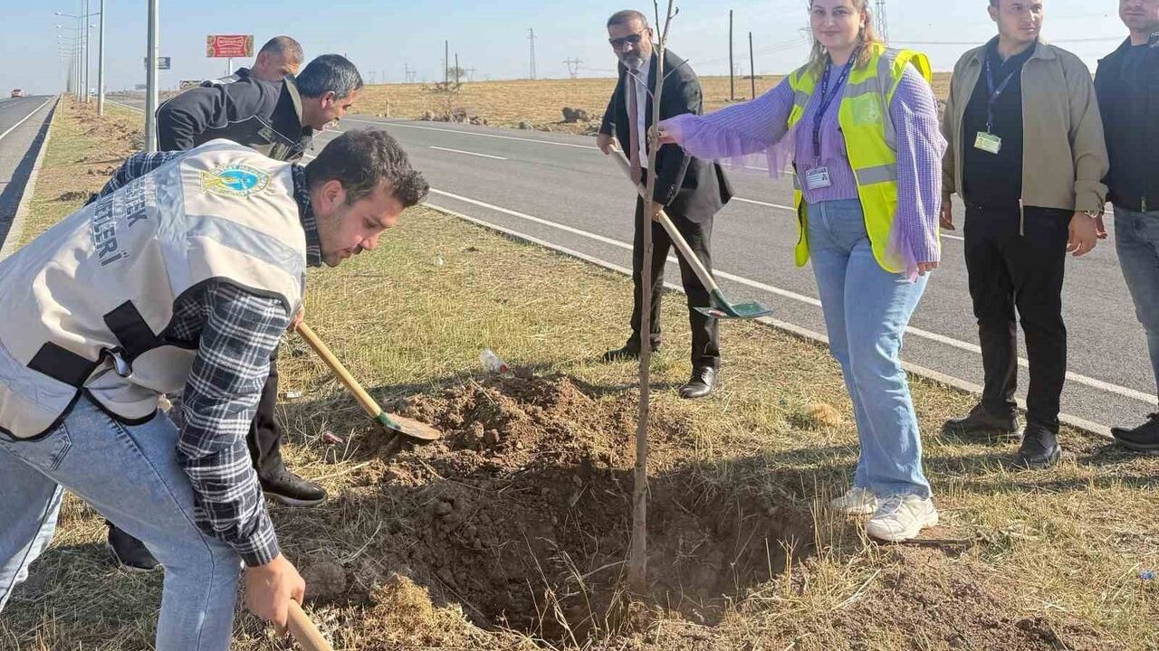 Cizre Havalimanı Yolu 450 Fidanla Yeşeriyor