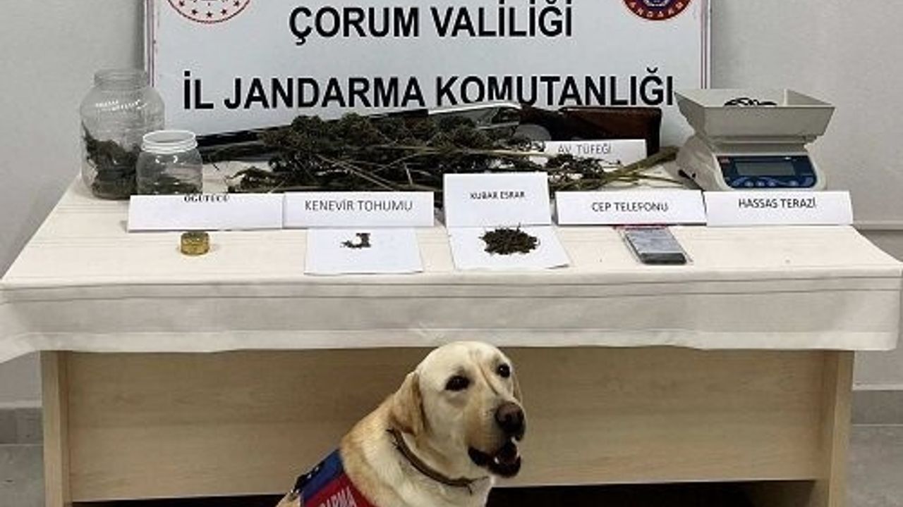 Çorum'da Uyuşturucu Operasyonu: Bir Kişi Tutuklandı