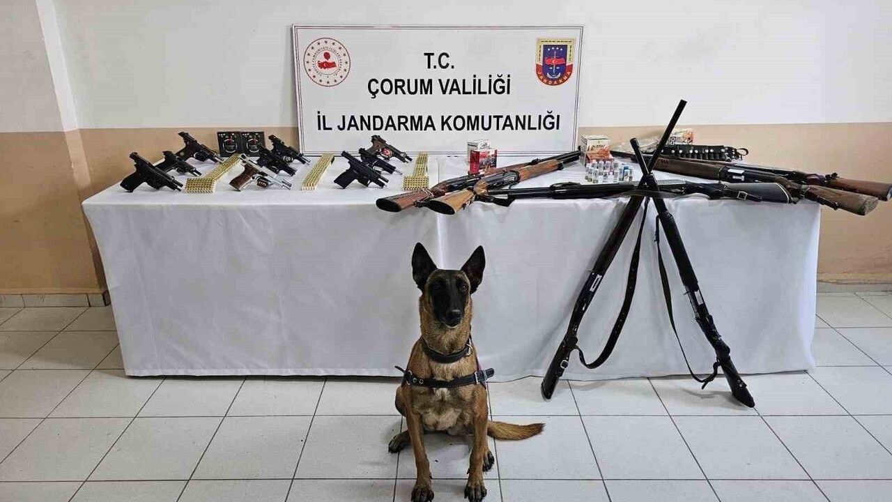 Çorum Jandarmasından Düğün Magandalarına Operasyon