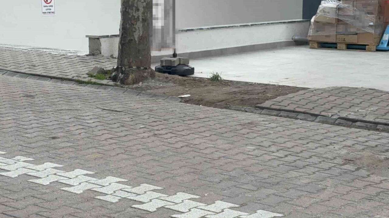 Darıca'da Kargo Poşetinden 60 Bin Dolar Çıktı