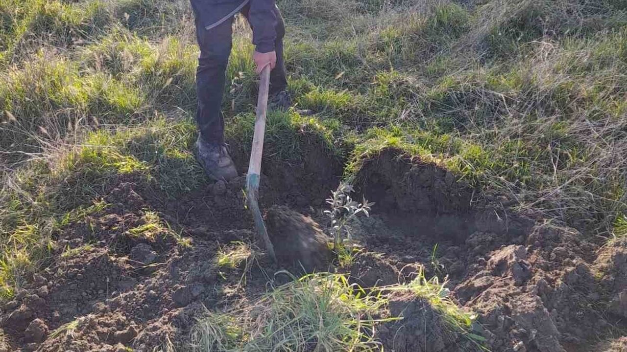 Demirci'de Tarım Üretimi İçin Atıl Araziler Değerlendiriliyor
