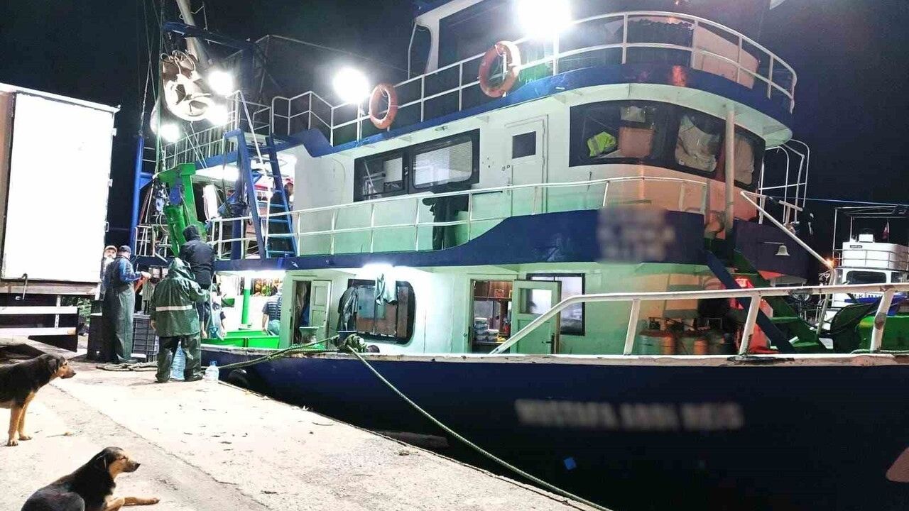 Demirköy'de Hamsi Denetimleri Sürüyor