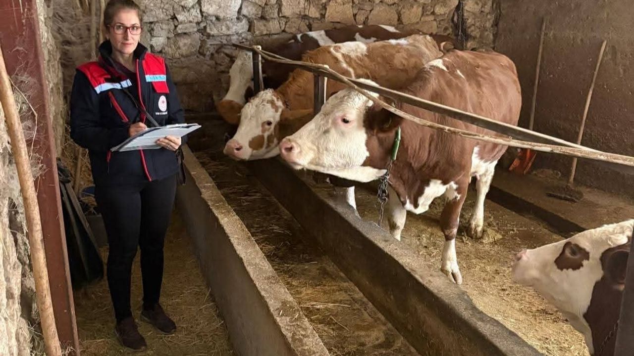 Denetimler Başladı: Hibe Desteği ile Hayvancılık Yapan Besicilere Yönelik Kontroller