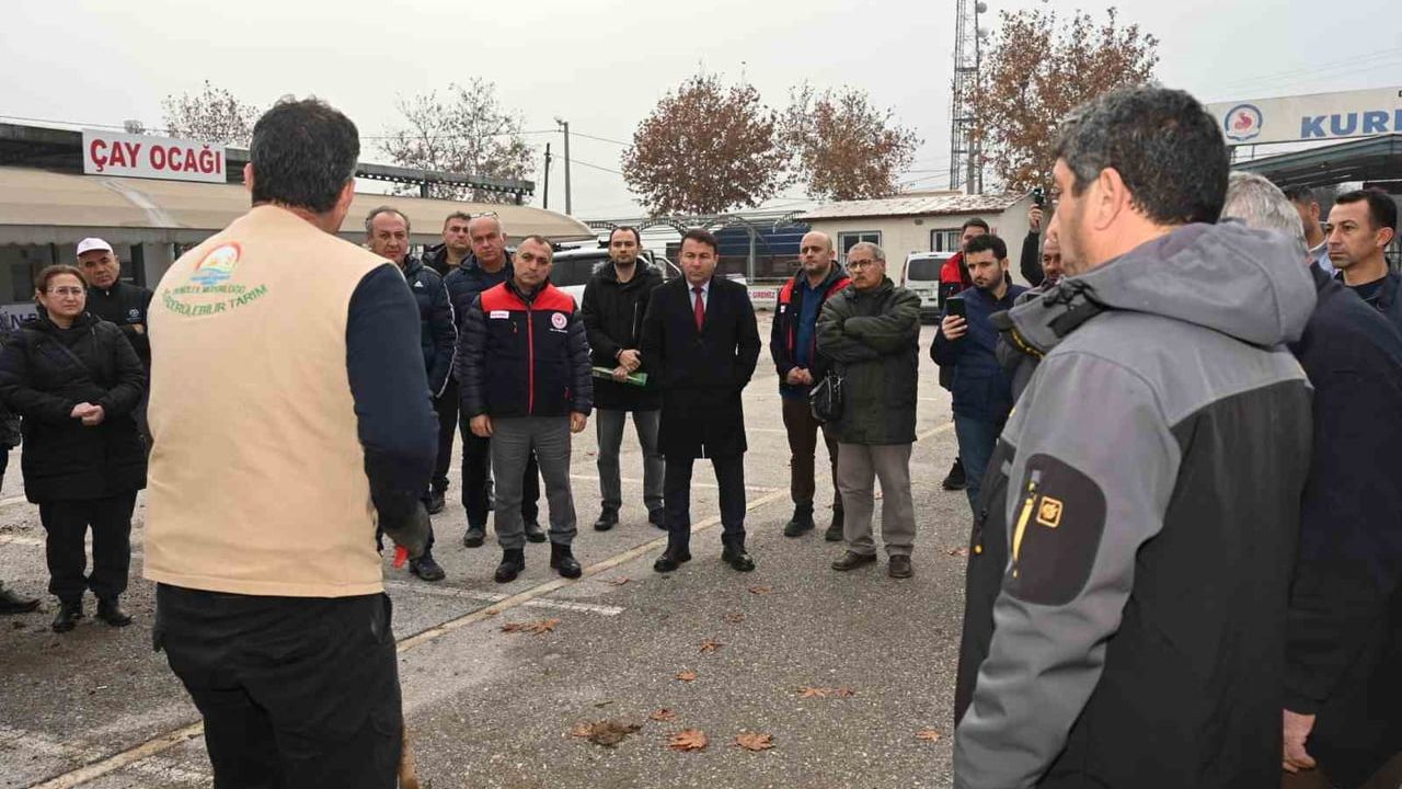 Denizli'de Ceviz Fidanı Dağıtımı Başladı