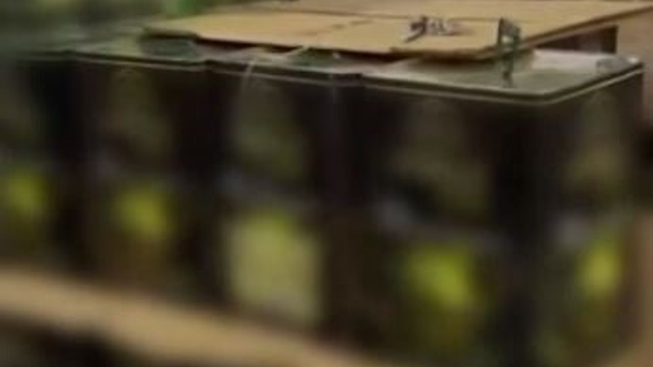 Denizli'de Kaçak Bitkisel Yağ Üretimi Alev Aldı