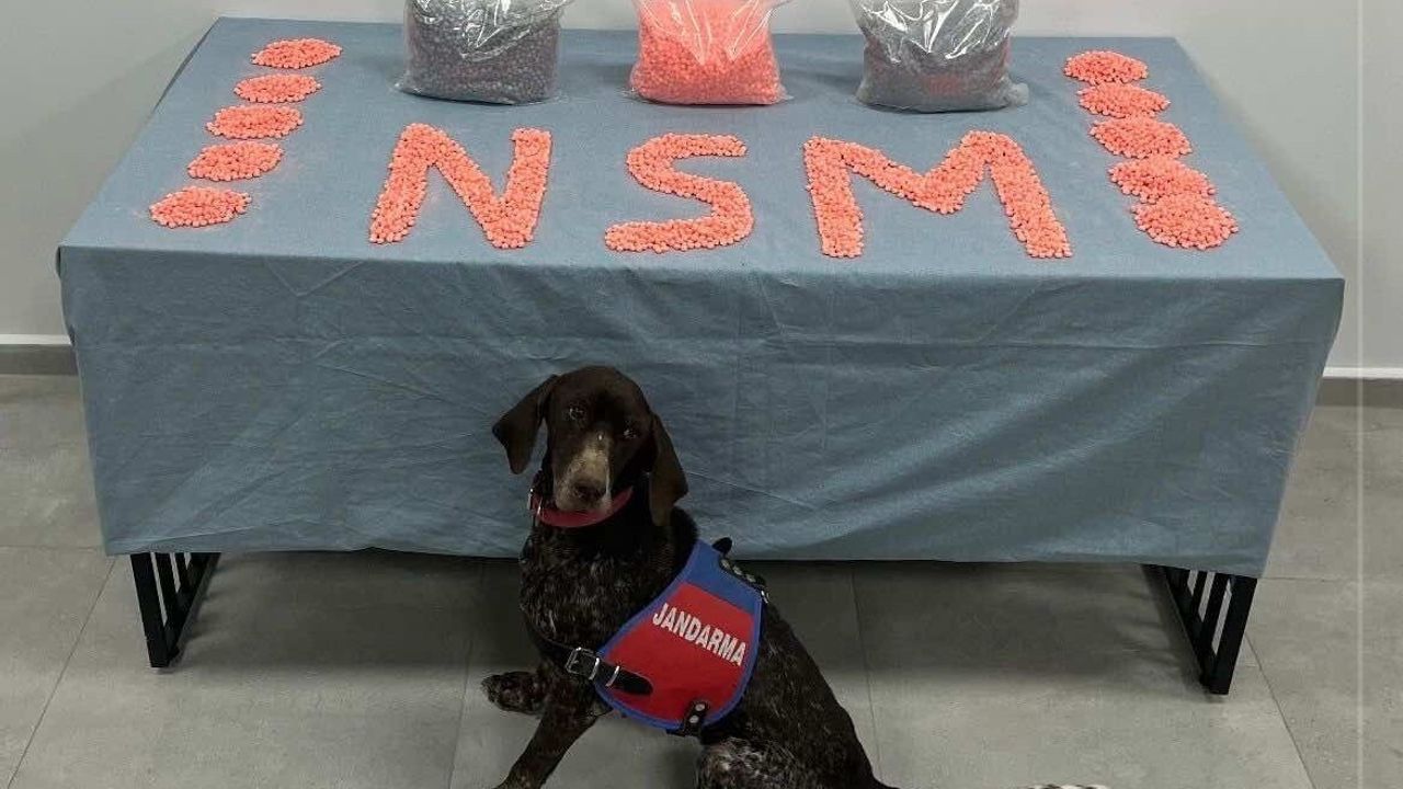 Denizli'de Narkotik Operasyonu: 28 Bin Uyuşturucu Hap Ele Geçirildi