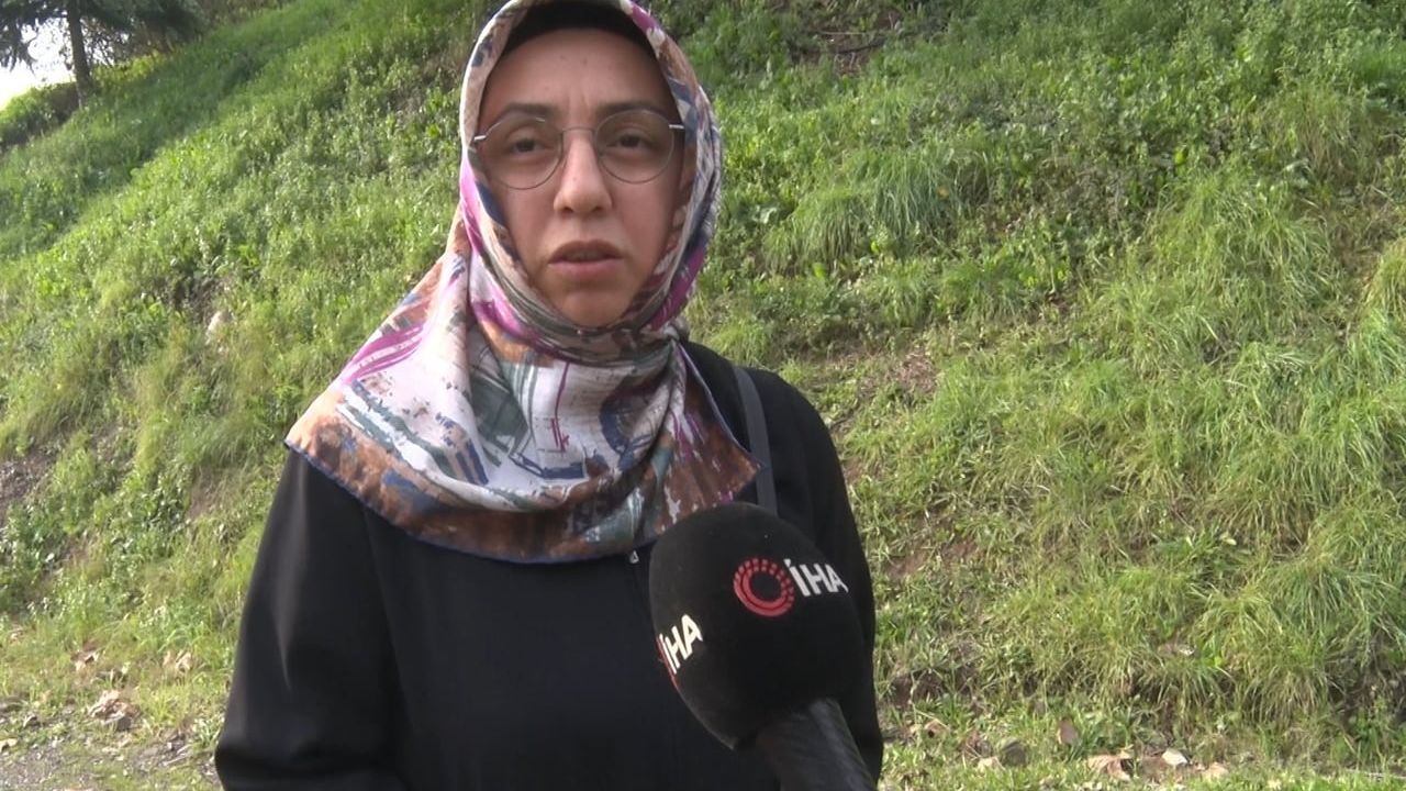 Derince'de Sürü Halinde Dolaşan Başıboş Köpekler Endişe Yarattı