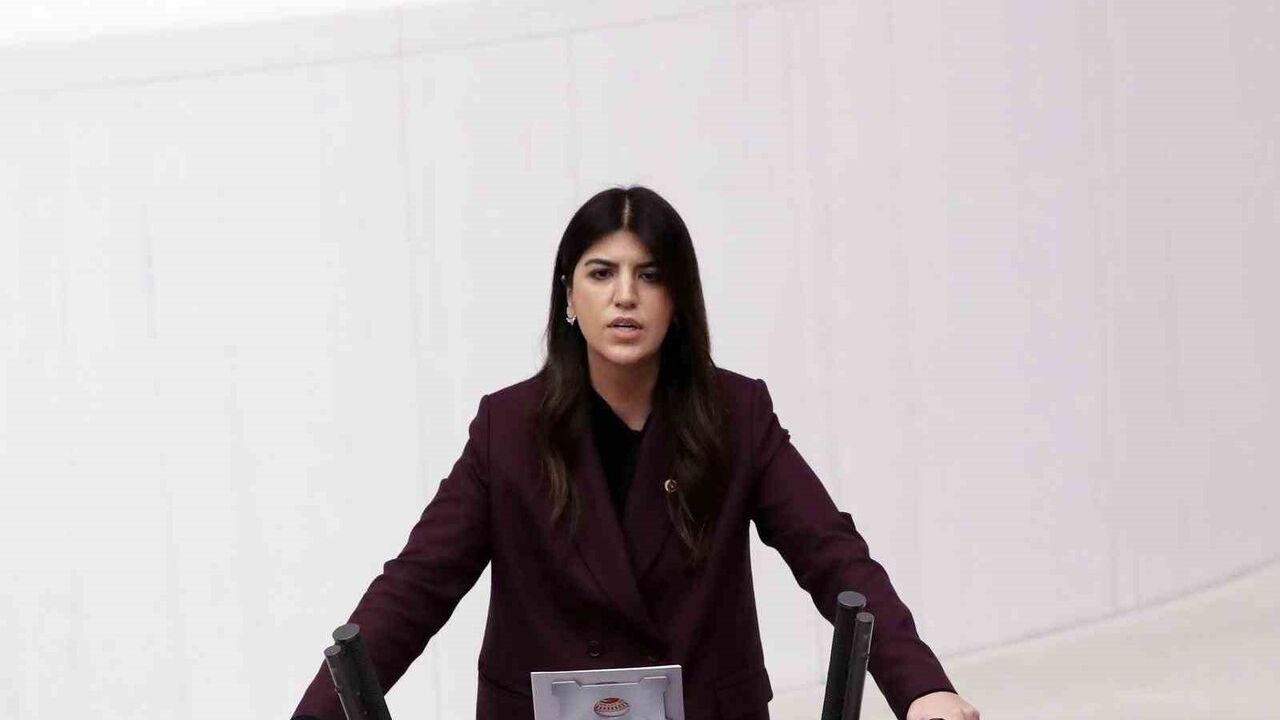 Derya Ayaydın'dan Cumhurbaşkanı Erdoğan'a Destek