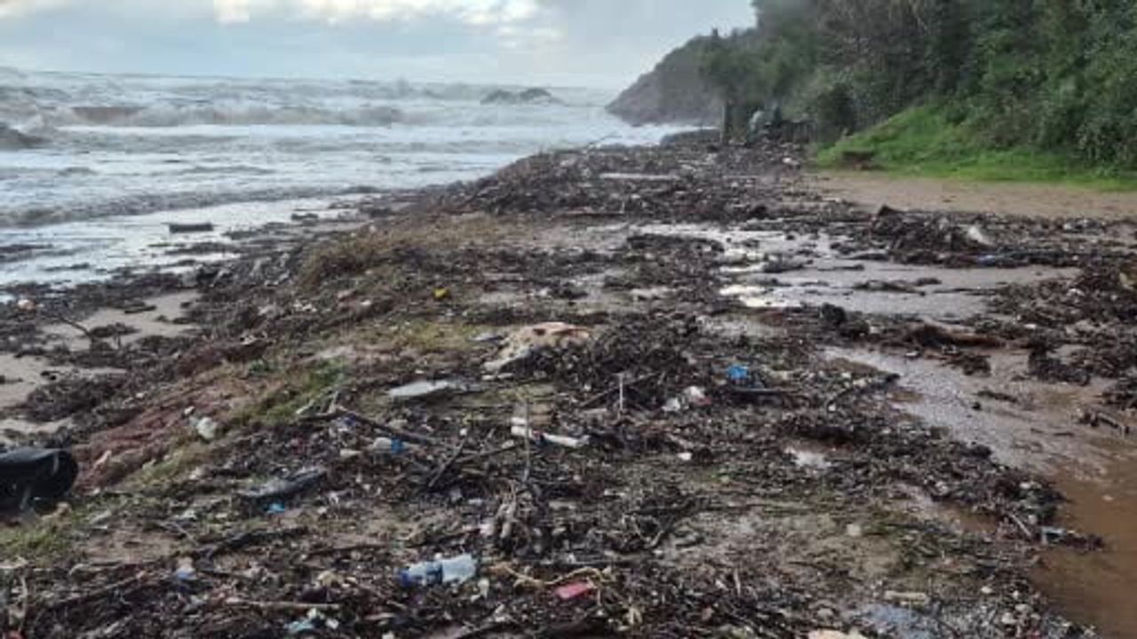 Dev Dalgalar Ölü Yunus Kalıntılarını Sahile Sürükledi