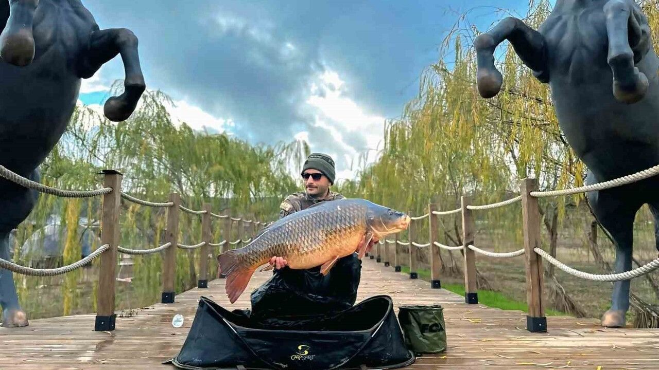 Dev Sazan Balığı Yeniden Doğaya Kavuştu