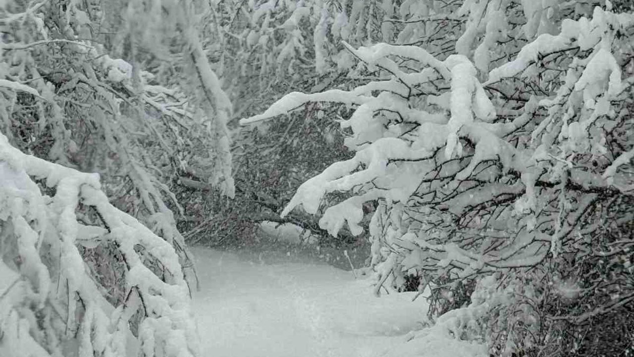 Devrek’te 45 Köy Yolu Kar Nedeniyle Kapandı