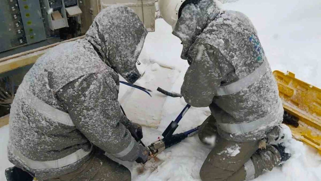 Dicle Elektrik Karla Mücadele İçin Seferber Oldu