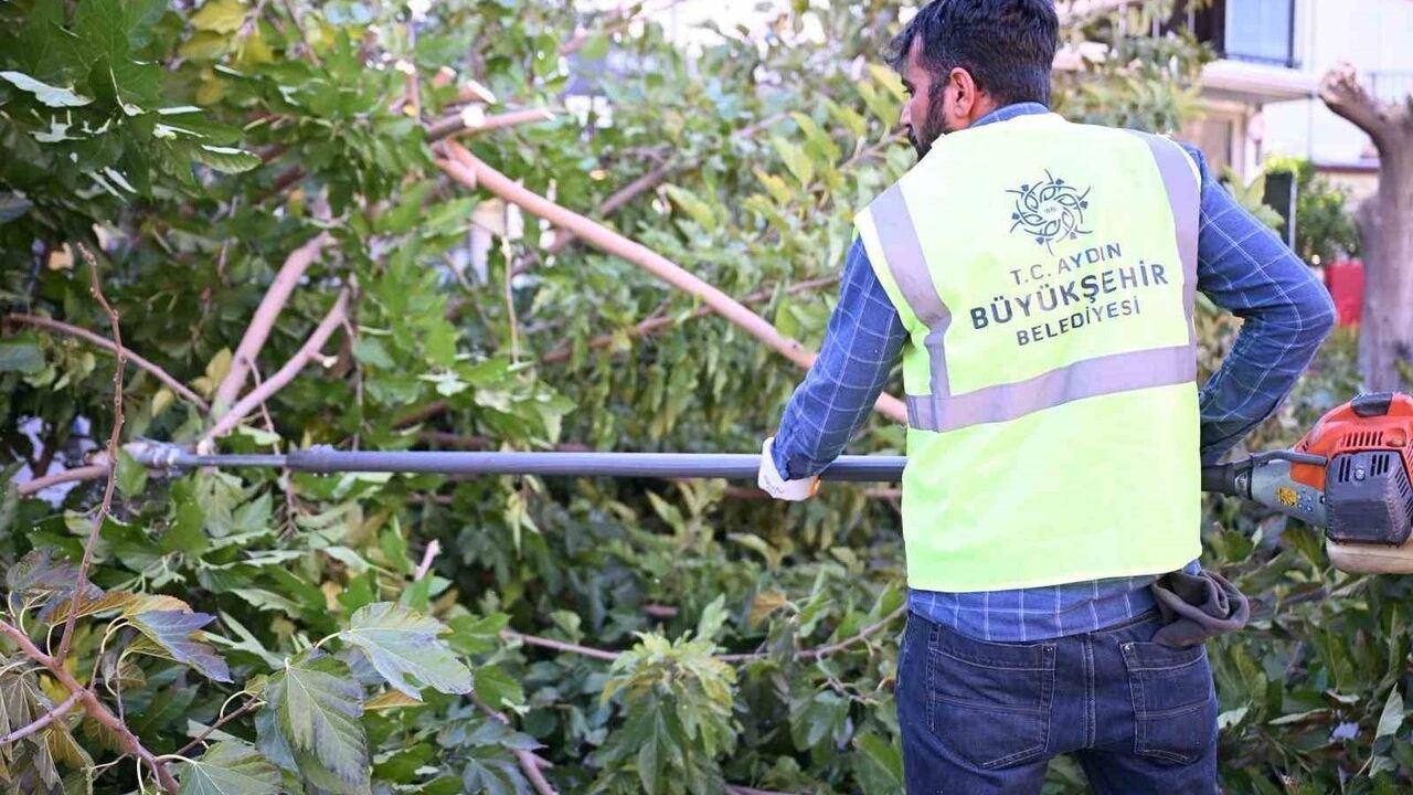 Didim'de Çevre Temizliği Seferberliği