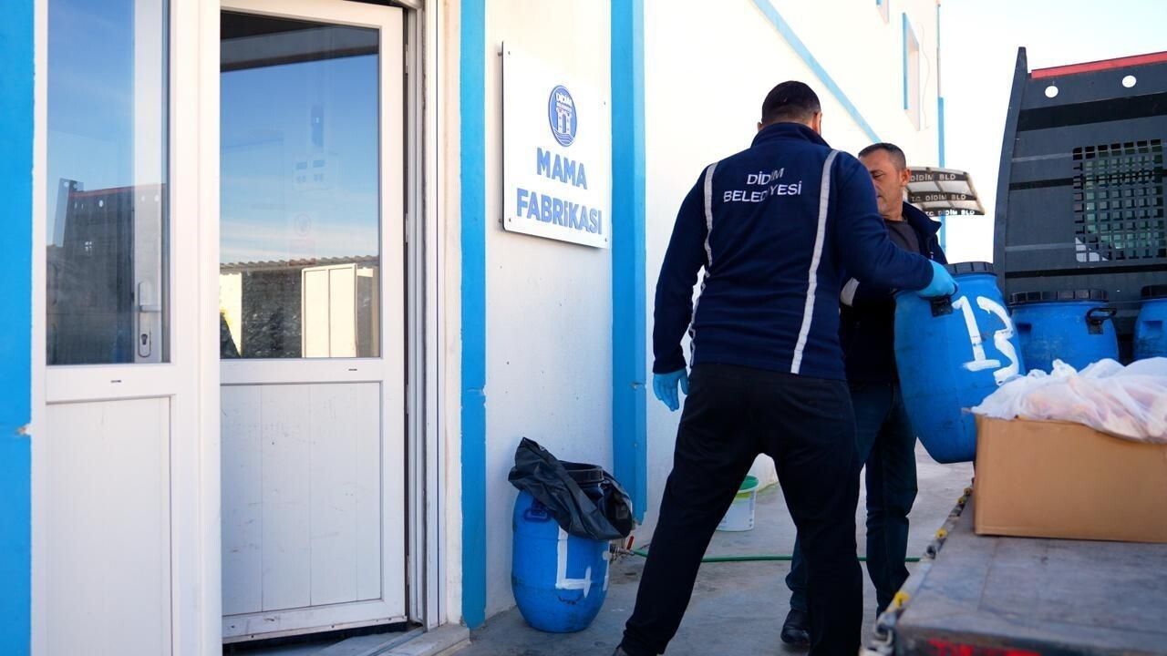 Didim'de Sokak Hayvanlarına Umut Işığı Projesi