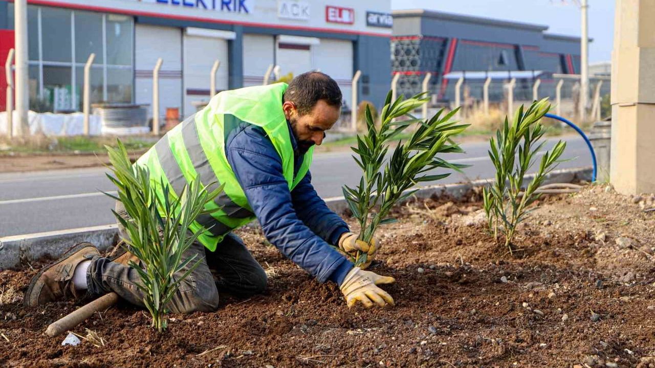 Diyarbakır'a Yeşil Dokunuş: 14 Kilometrelik Alan Ağaçlandırılıyor