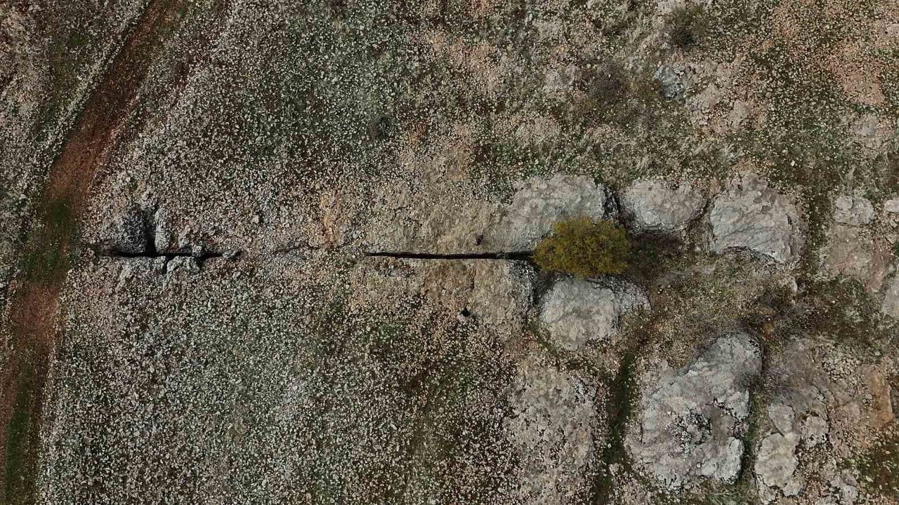 Diyarbakır'da 300 Milyon Yıllık Fosiller Keşfedildi