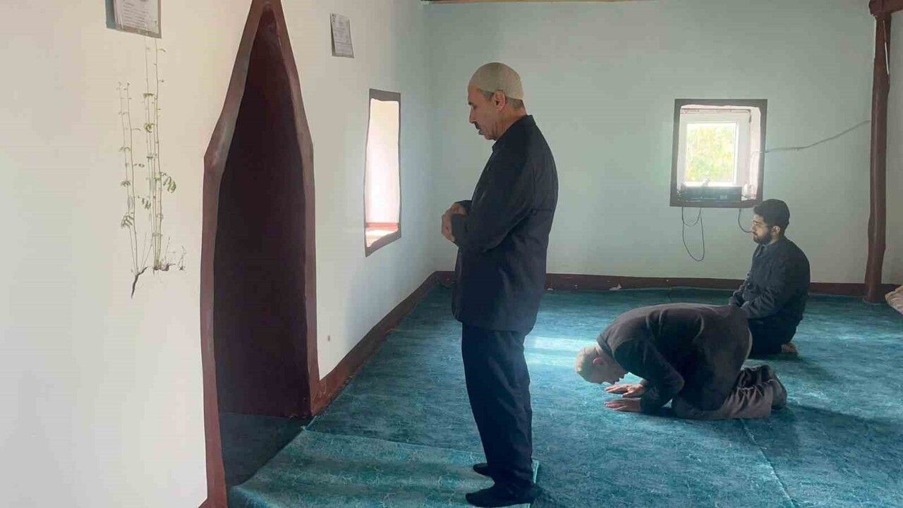 Diyarbakır'da Camideki Sıradışı Bitki Büyümesi