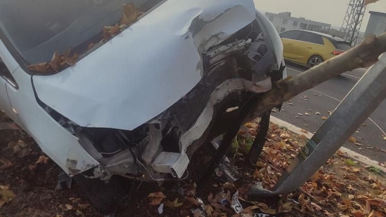 Diyarbakır'da Şerit Değiştiren Araca Çarpmamak İçin Ağaca Çarptı