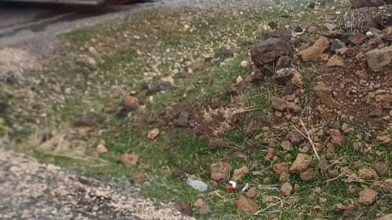 Diyarbakır'da Seyir Halindeki Tırda Yangın Çıktı