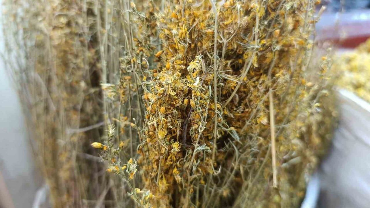 Doğal İçecekler Enerji İçeceklerine Alternatif Oluyor