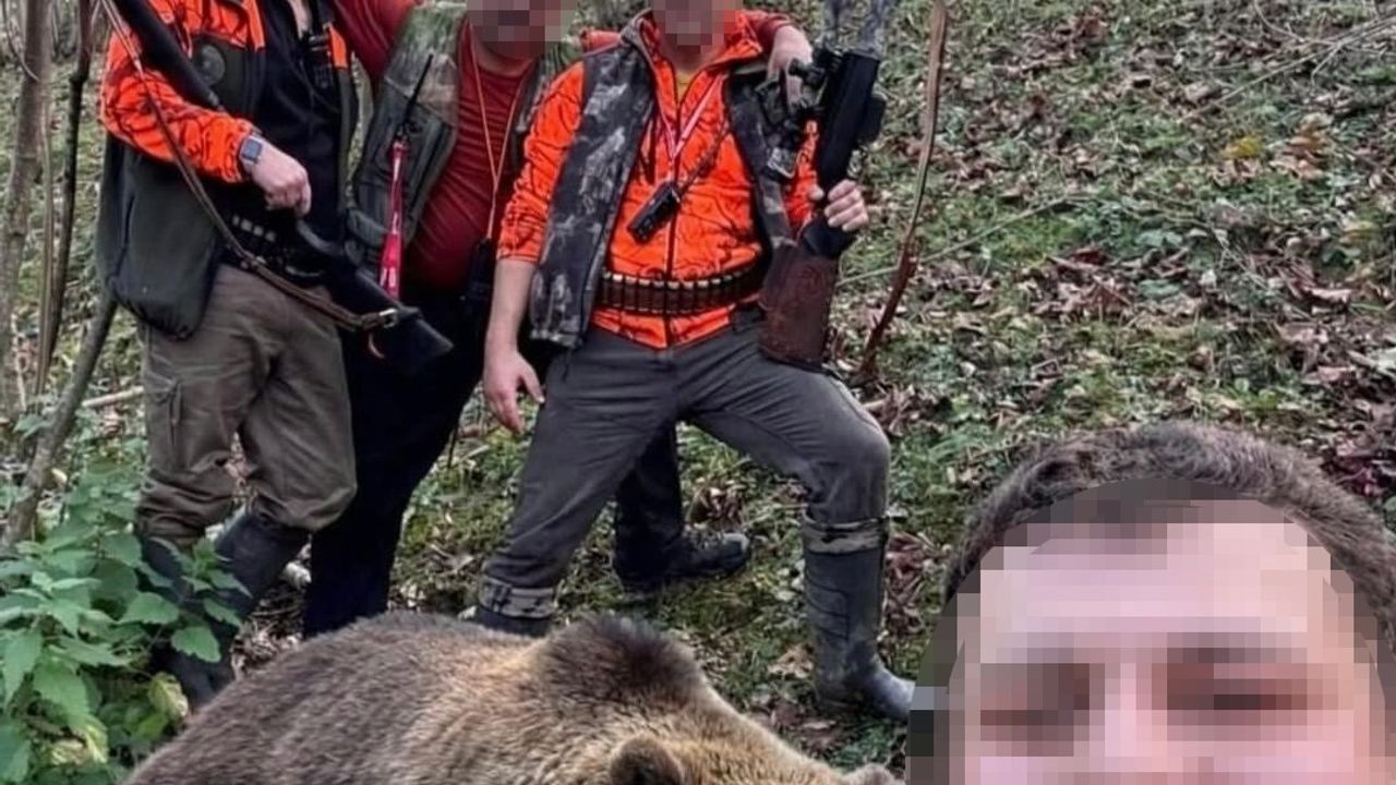 Doğu Karadeniz'de Ayı Avı Başladı: İlk Hedef Vuruldu