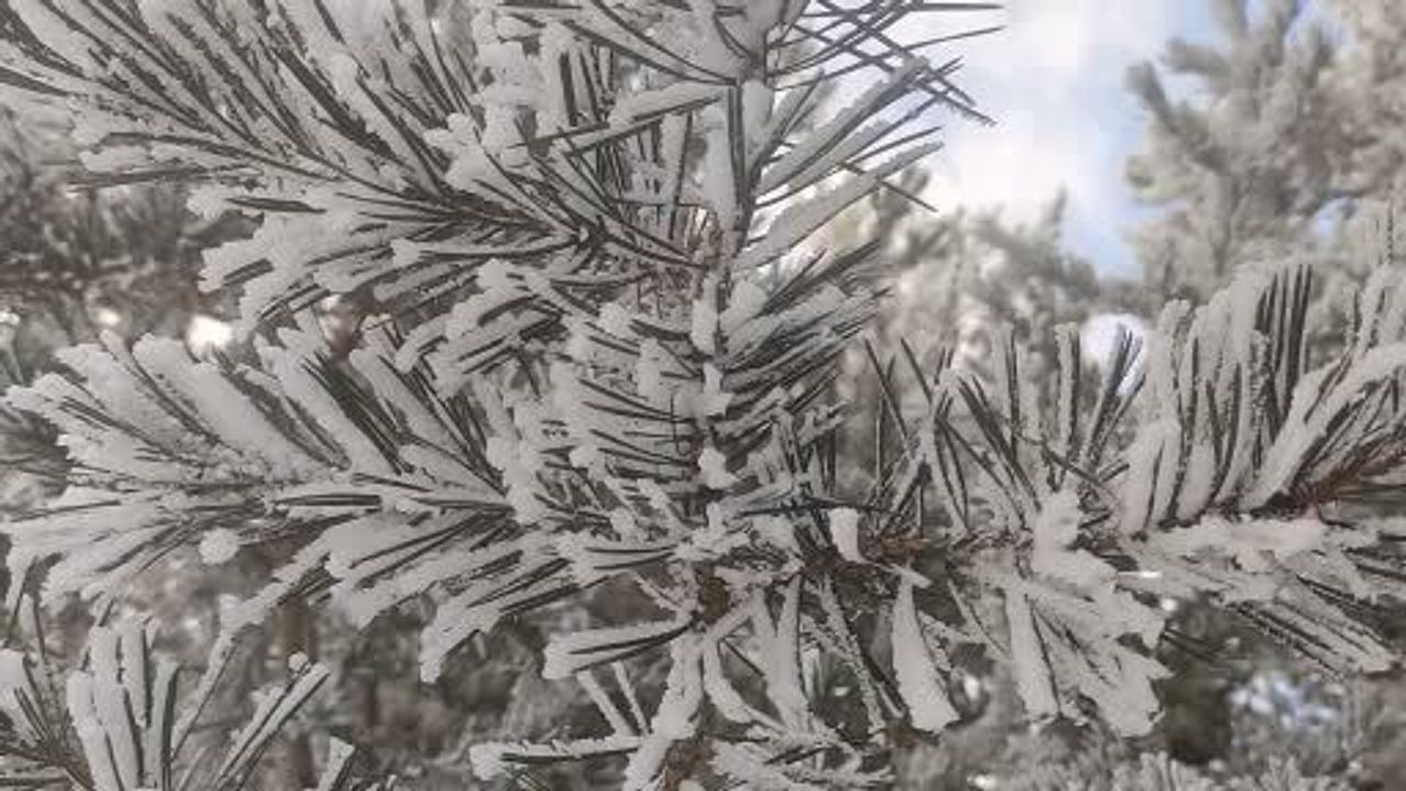 Dondurucu Soğuklar Göle'yi Etkisi Altına Aldı
