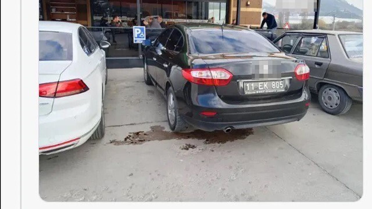 Dünya Engelliler Günü'nde Park Cezası