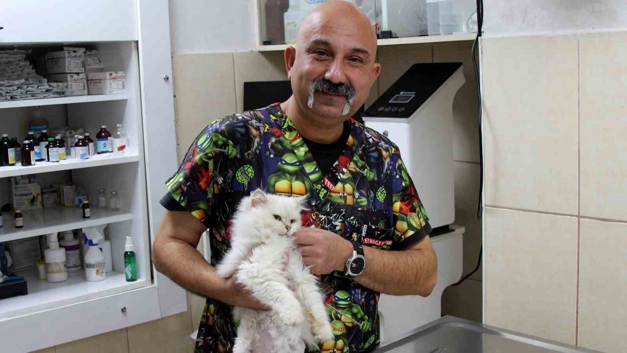 Dünyada Eşi Benzeri Olmayan Kedide Genital Anomali