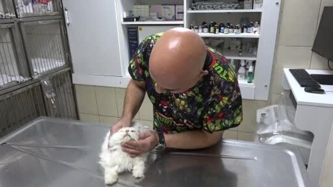 Dünyada Eşine Rastlanmayan Genital Anomali: Operasyonla Sağlığına Kavuştu