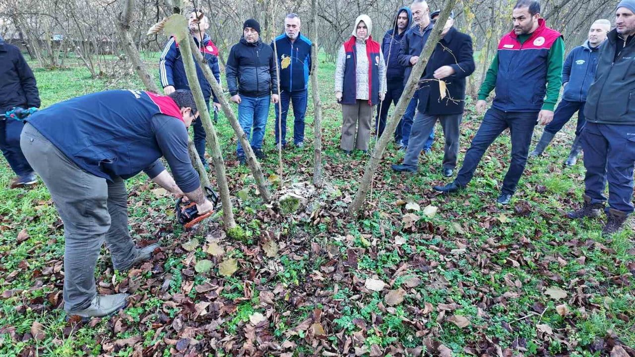 Düzce'de Fındıkta Verim ve Kalite Artışı İçin Eğitimler