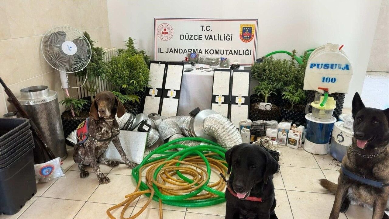 Düzce'de Uyuşturucu Ticareti İddiası: 1 Gözaltı