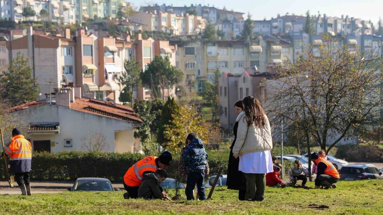 Düzce'de Yeşil Alan Genişletme Faaliyeti: 52 Fidan Dikildi
