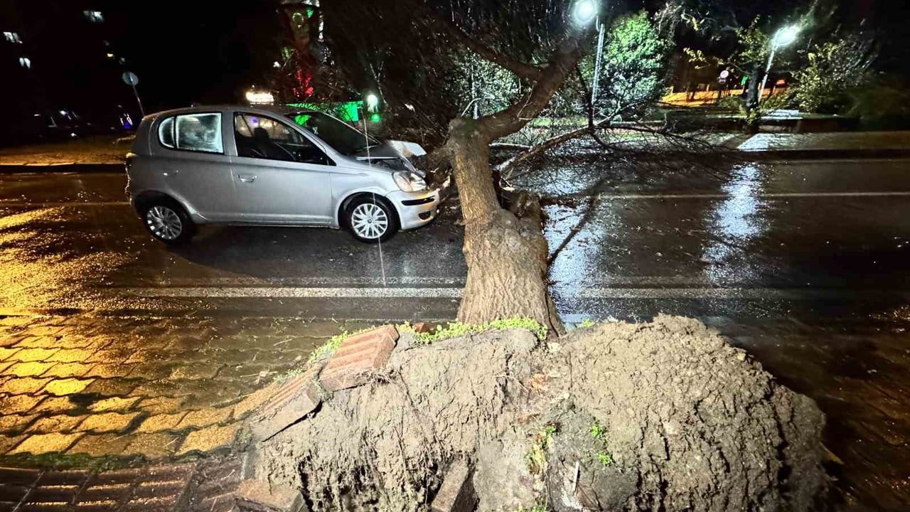 Edirne'de Seyir Halindeki Aracın Üzerine Ağaç Devrildi