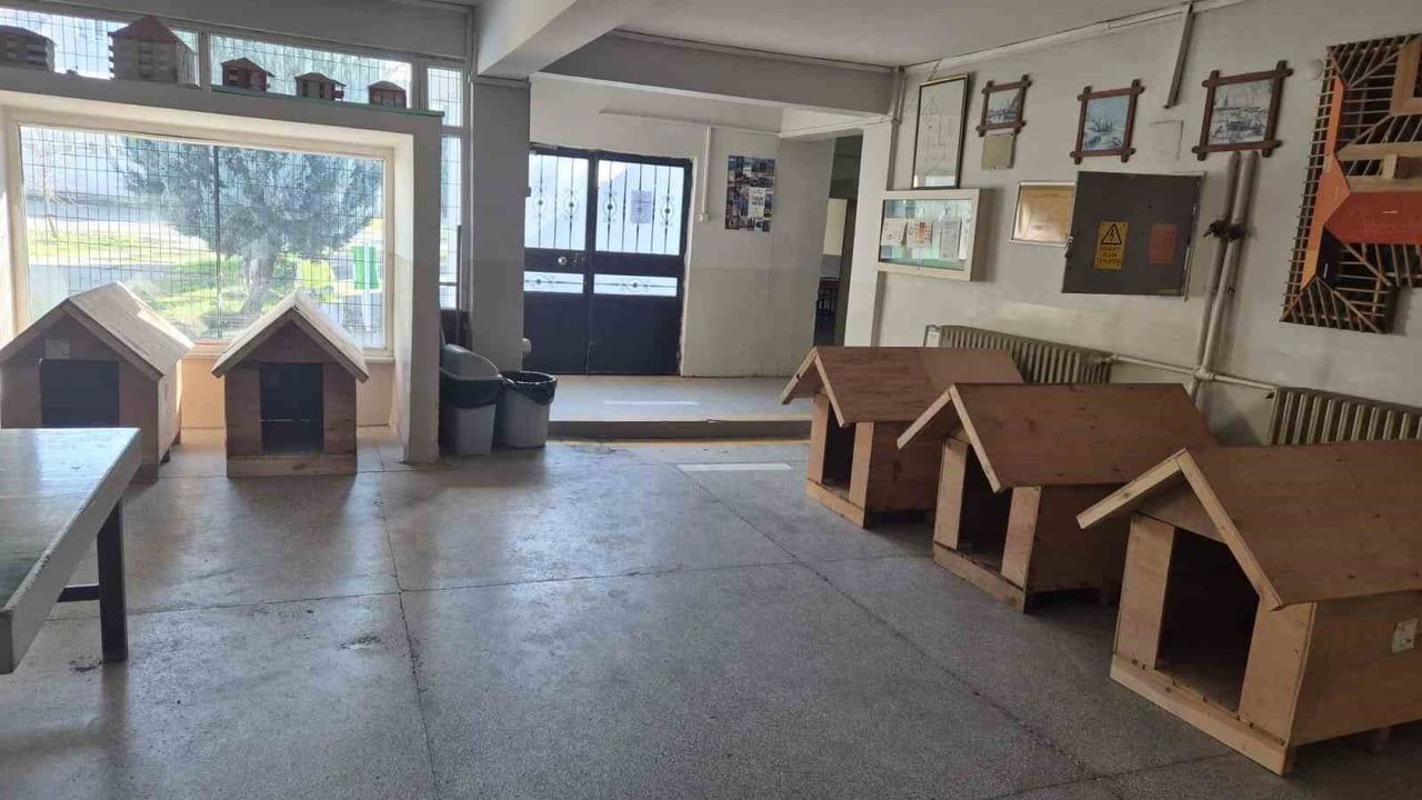 Edirne Meslek Liseleri Sokak Hayvanlarına Kulübe Üretiyor